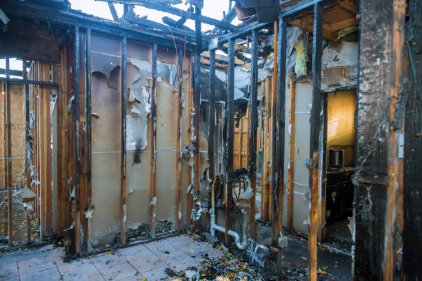 Professional Odor Removal technician working in Flagtown, NJ